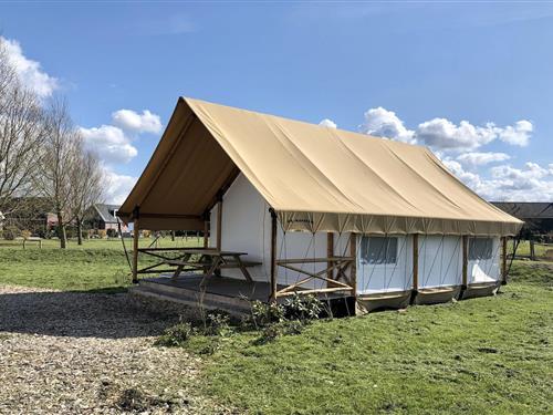 Glamping telt - 4 personer -  - 7955PP - Ijhorst