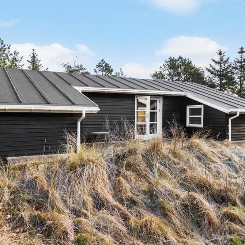 Ferienhaus - 4 Personen -  - Blåbærvej - Vorupör - 7700 - Thisted