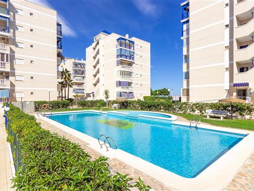 Holiday apartment - 5 persons -  - Av. Costablanca 21 4º pta3 bl - 03195 - Arenales Del Sol
