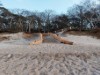 Bild 32