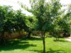 Bild 54