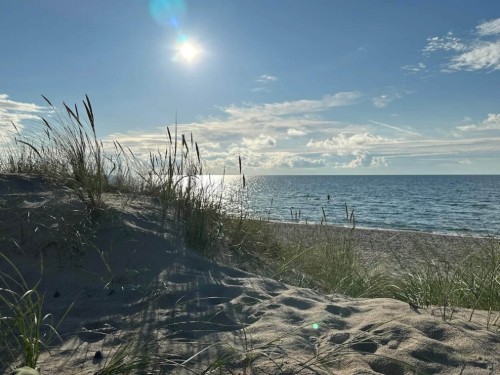 Feriehus - 8 personer -  - Skovvej - 9370 - Hals