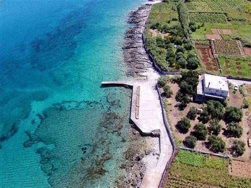 Ferielejlighed - 4 personer -  - Bilin žal - 20263 - Lumbarda