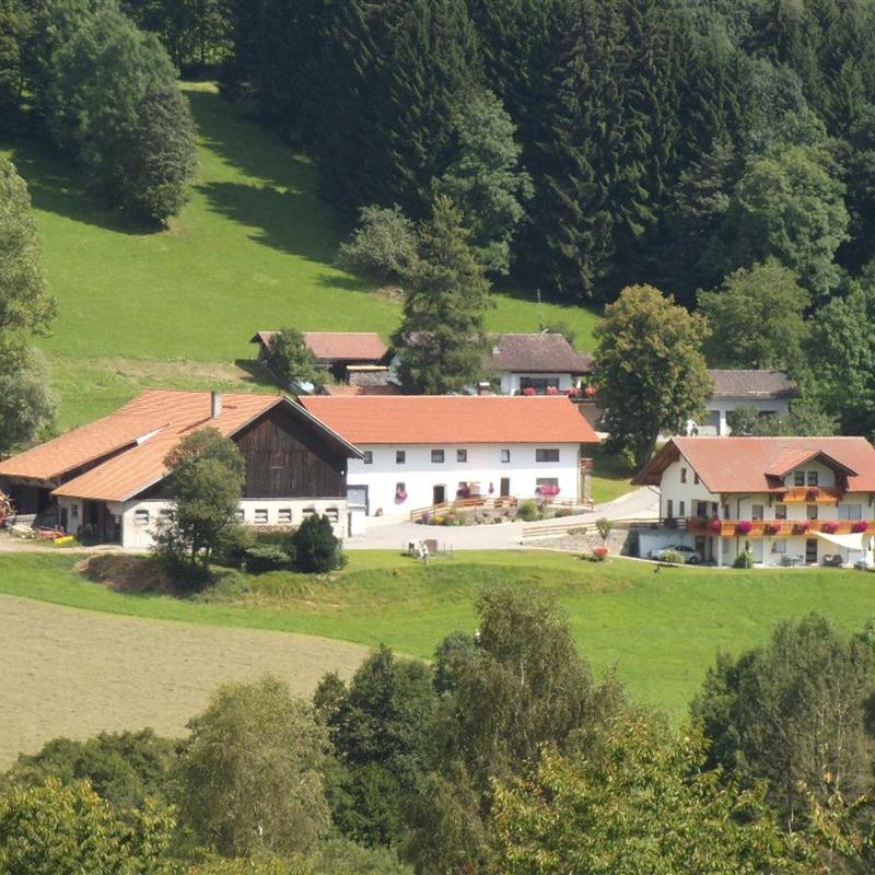 Ferielejlighed - 5 personer -  - Klingldorf - 94379 - Sankt Englmar