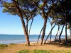 Bilde 4