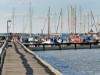 Bilde 26