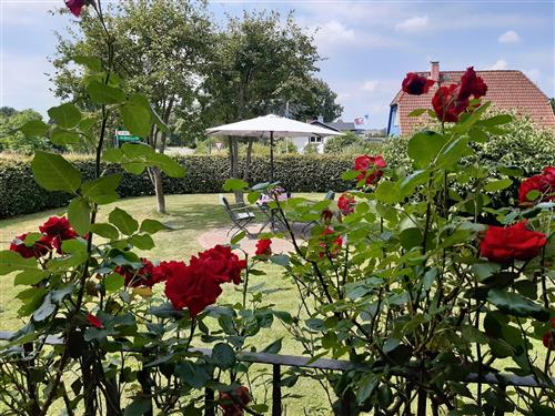 Ferieleilighet - 2 personer -  - Dorfstraße - 24351 - Sieseby