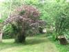 Bilde 32