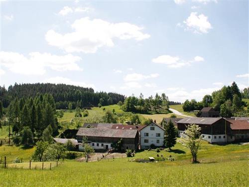 Gård - 5 personer -  - Kleinnondorf - 3911 - Rappottenstein