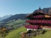 Bild 25