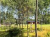 Billede 51 - Ude