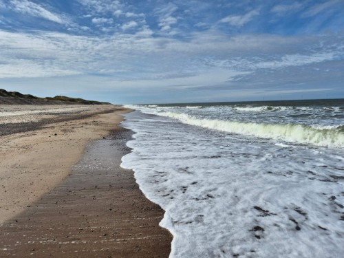 Fritidshus - 14 personer -  - Hermodsvej - Vrist - 7673 - Harboøre