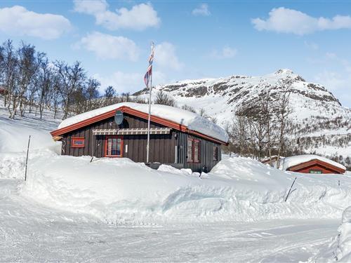 Feriehus / leilighet - 8 personer -  - Tyinvegen - Filefjell/Tyinkrysset - 2985 - Tyinkrysset