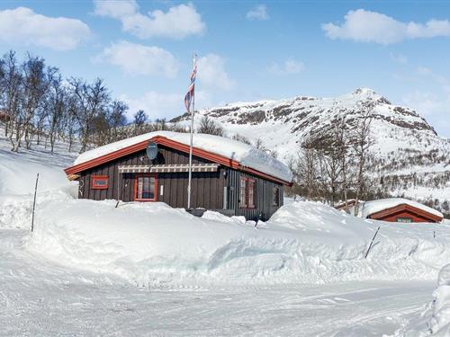 Feriehus - 8 personer -  - Tyinvegen - Filefjell/Tyinkrysset - 2985 - Tyinkrysset