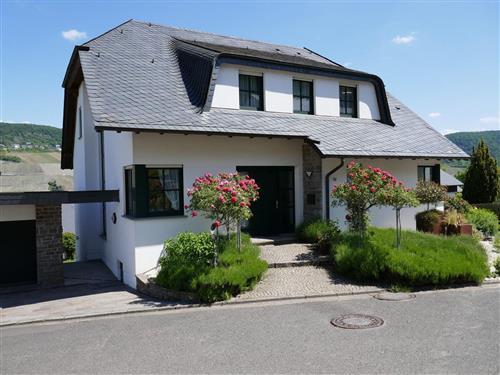 Ferielejlighed - 3 personer -  - Birkenweg - 54470 - Bernkastel-Kues