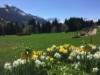 Bild 12