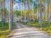 Bild 31 - Aussen