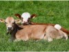Bild 19