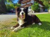 Bild 49