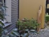 Billede 16