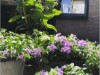 Bilde 4