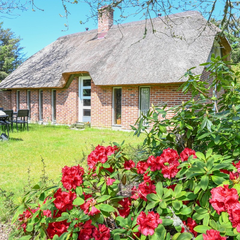 Ferienhaus - 6 Personen -  - Havbjerge - Vester Husby - 6990 - Ulfborg
