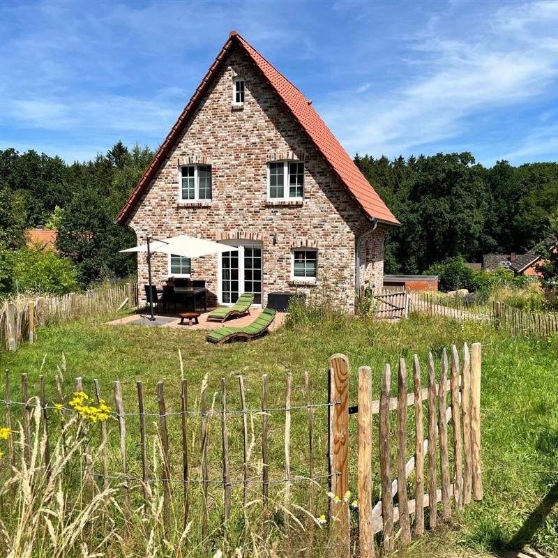 Sommerhus - 4 personer -  - Bispingen - 29646