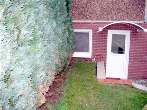 Ferieleilighet - 3 personer -  - Hauptstraße - 18528 - Parchtitz