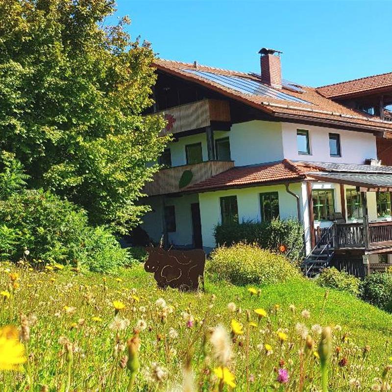 Ferielejlighed - 5 personer -  - Waldglashüttenstr. - 94249 - Bodenmais