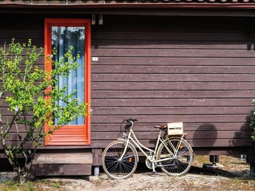 Semesterlägenhet - 6 personer -  - 33121 - Carcans-Maubuisson