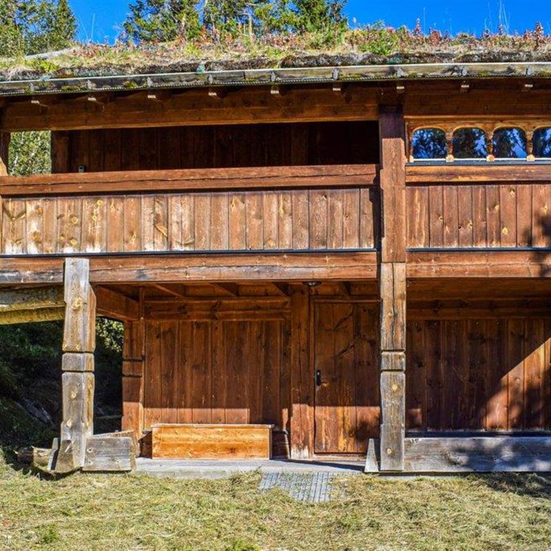 Ferielejlighed - 2 personer -  - Haddlandsvegen - 3864 - Rauland