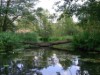 Billede 11