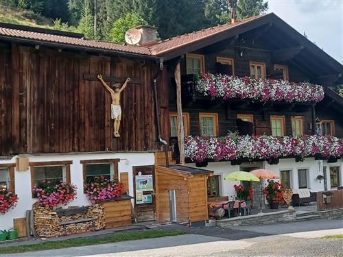 Bauernhof - 4 persons -  - Rauriserstraße - 5661 - Rauris