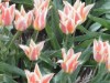 Bild 20