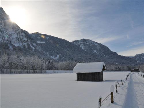 Bauernhof - 6 Personen -  - Hirschau - 6882 - Schnepfau