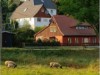 Bilde 4