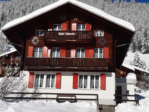 Feriehus / leilighet - 3 personer -  - Lus - 3825 - Mürren