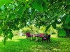 Bild 9 - Inde