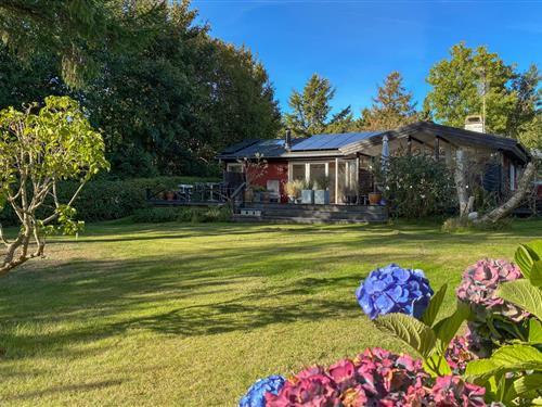 Sommerhus - 7 personer -  - Fyrvangen - 3250 - Gilleleje