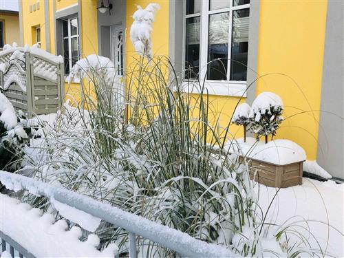 Ferienhaus - 4 Personen -  - Vinetastraße - 17419 - Ahlbeck (Seebad)