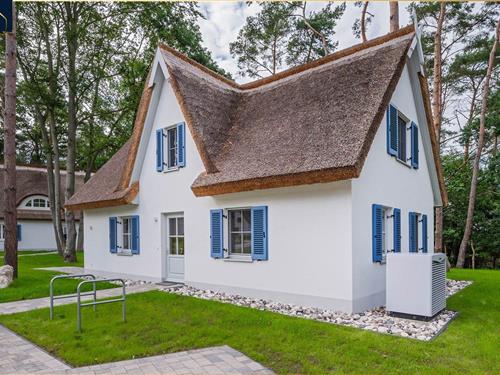 Ferienhaus - 6 Personen -  - Am Kiefernwald - 17419 - Zirchow