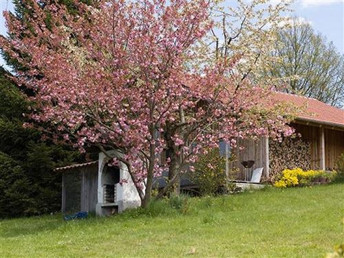 Feriehus / leilighet - 4 personer -  - Arberstraße - 93471 - Arnbruck