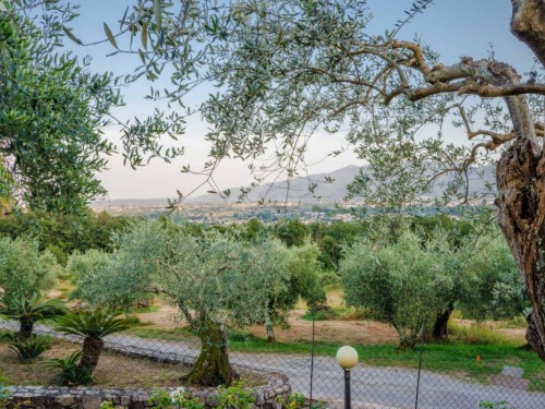 Villa - 6 personer -  - 55100 - Lucca
