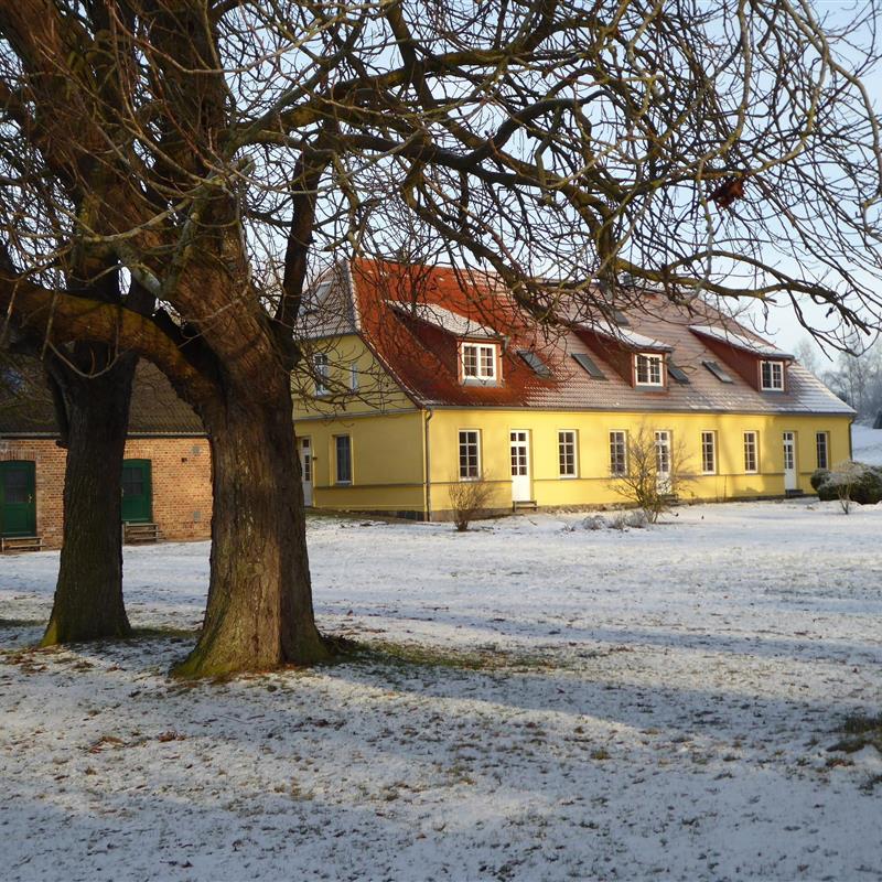 Ferielejlighed - 4 personer -  - Volsvitz - 18569 - Gingst