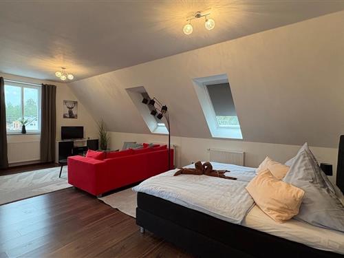 Holiday apartment - 4 persons -  - Steinförder Straße - 16798 - Fürstenberg/Havel