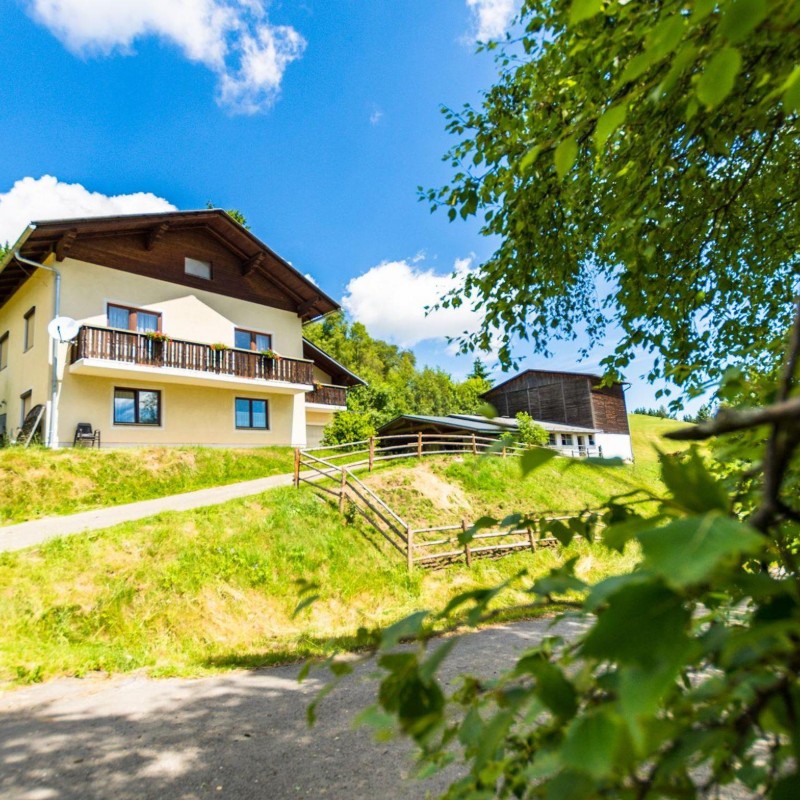 Ferielejlighed - 6 personer -  - Unteralpe - 8813 - Sankt Lambrecht