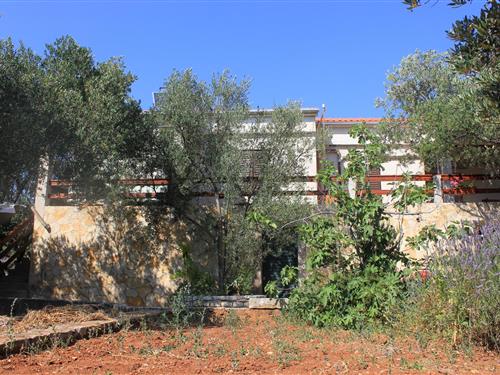 Semesterlägenhet - 5 personer -  - Magrovica - Telašcica - 23281 - Magrovica - Telašcica