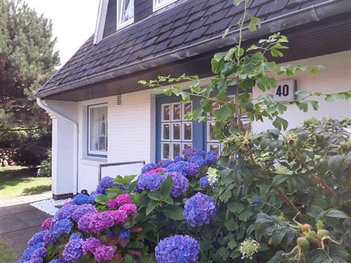 Holiday Home/Apartment - 4 persons -  - Gorch-Fock-Str. - 25980 - Westerland Auf Sylt