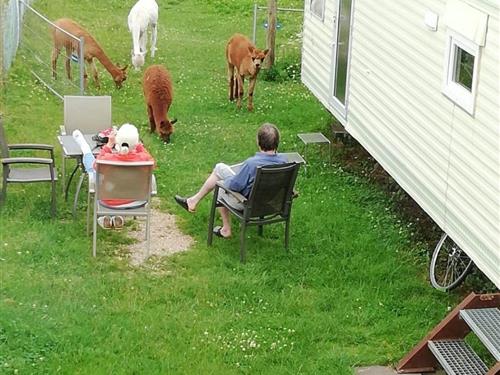 Holiday apartment - 2 persons -  - Auw - 54597