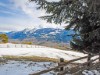 Bild 31 - Ude